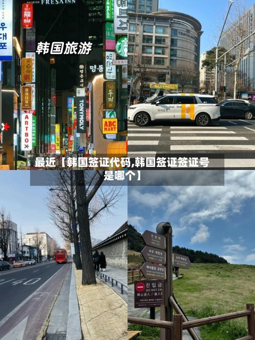 最近【韩国签证代码,韩国签证签证号是哪个】-第2张图片