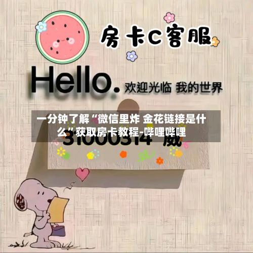 一分钟了解“微信里炸 金花链接是什么”获取房卡教程-哔哩哔哩-第3张图片