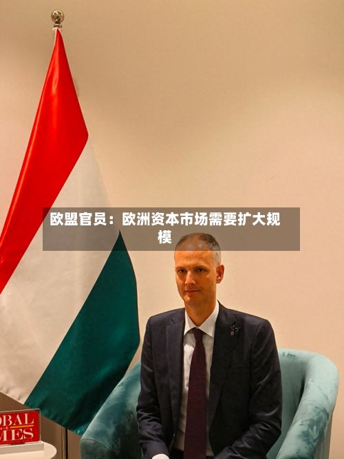 欧盟官员:欧洲资本市场需要扩大规模-第2张图片