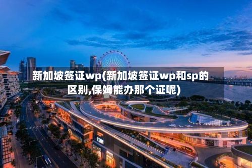 新加坡签证wp(新加坡签证wp和sp的区别,保姆能办那个证呢)-第3张图片