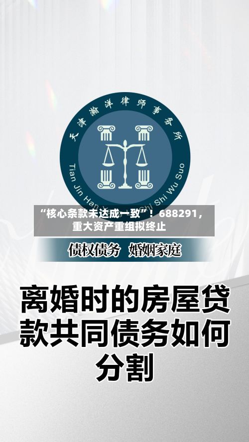 “核心条款未达成一致”！688291，重大资产重组拟终止-第2张图片