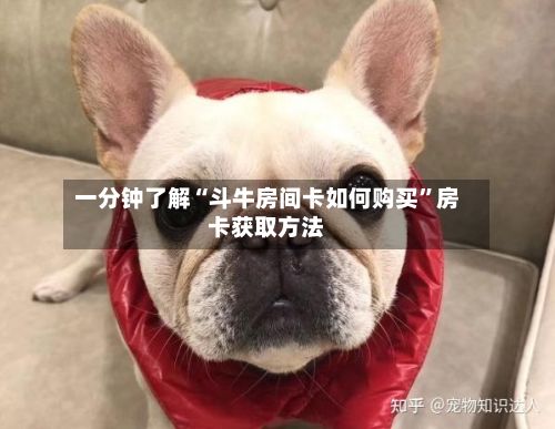 一分钟了解“斗牛房间卡如何购买	”房卡获取方法-第3张图片