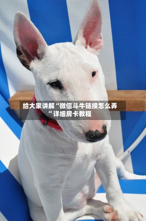 给大家讲解“微信斗牛链接怎么弄”详细房卡教程