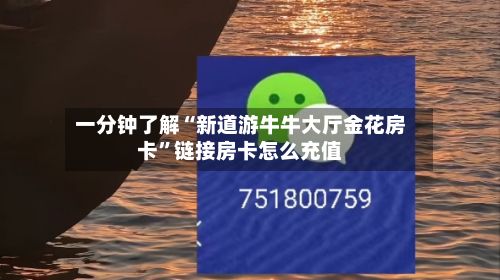 一分钟了解“新道游牛牛大厅金花房卡	”链接房卡怎么充值-第2张图片
