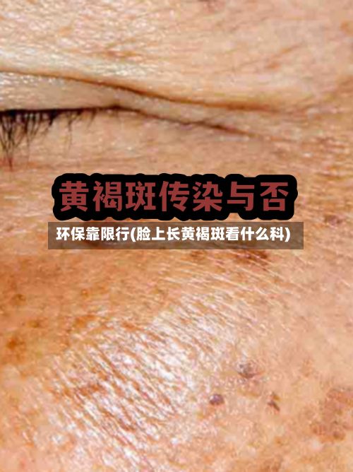 环保靠限行(脸上长黄褐斑看什么科)-第3张图片