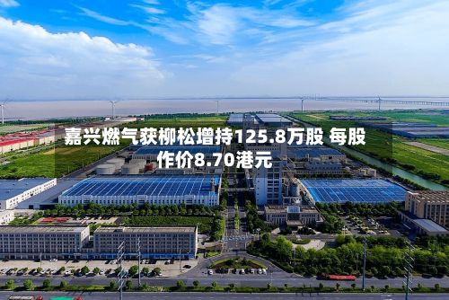 嘉兴燃气获柳松增持125.8万股 每股作价8.70港元-第2张图片