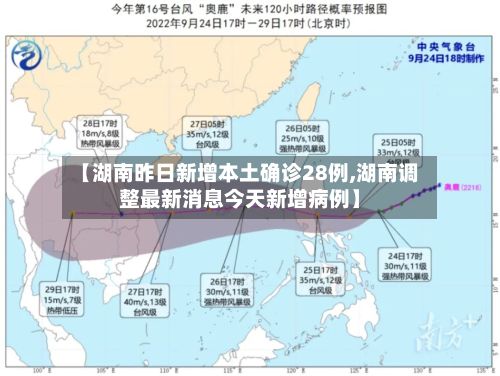 【湖南昨日新增本土确诊28例,湖南调整最新消息今天新增病例】-第3张图片