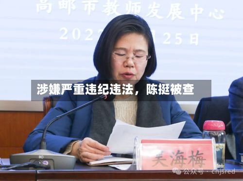 涉嫌严重违纪违法，陈挺被查-第2张图片