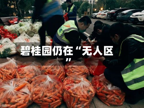 碧桂园仍在“无人区”-第2张图片