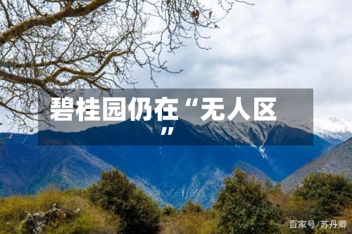 碧桂园仍在“无人区”-第3张图片