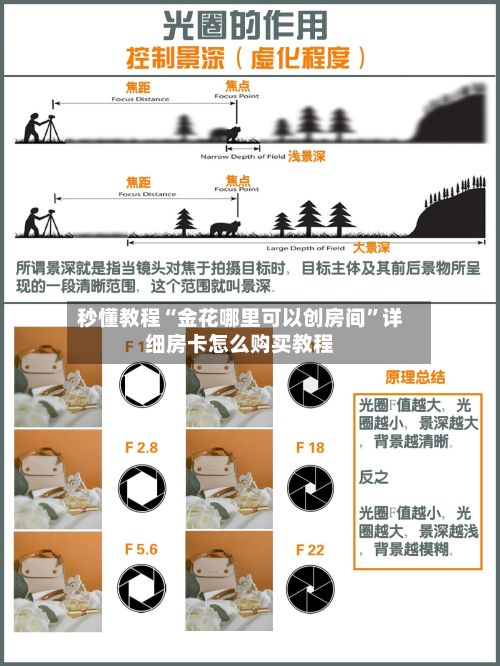 秒懂教程“金花哪里可以创房间”详细房卡怎么购买教程-第2张图片