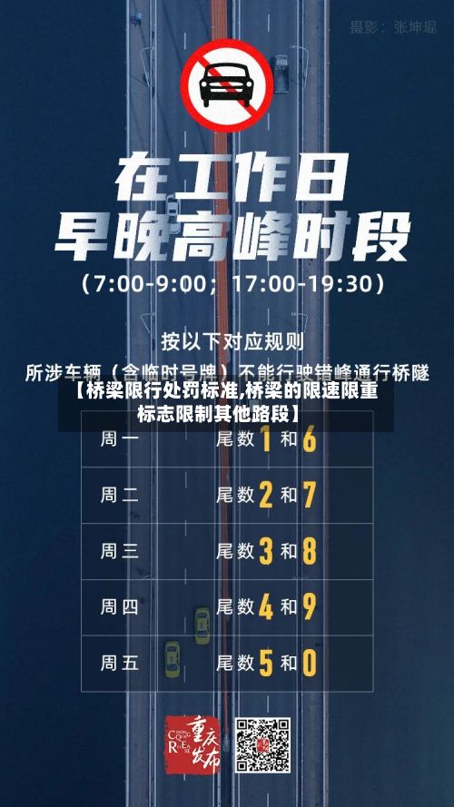 【桥梁限行处罚标准,桥梁的限速限重标志限制其他路段】