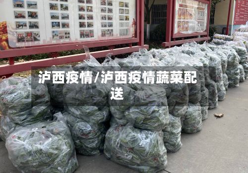 泸西疫情/泸西疫情蔬菜配送