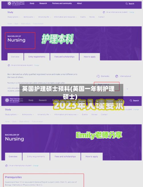 英国护理硕士预科(英国一年制护理硕士)-第2张图片
