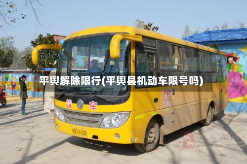平舆解除限行(平舆县机动车限号吗)-第2张图片