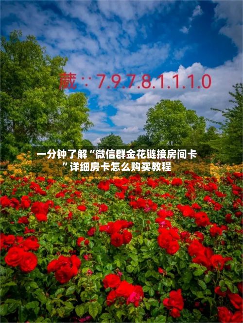 一分钟了解“微信群金花链接房间卡”详细房卡怎么购买教程-第2张图片