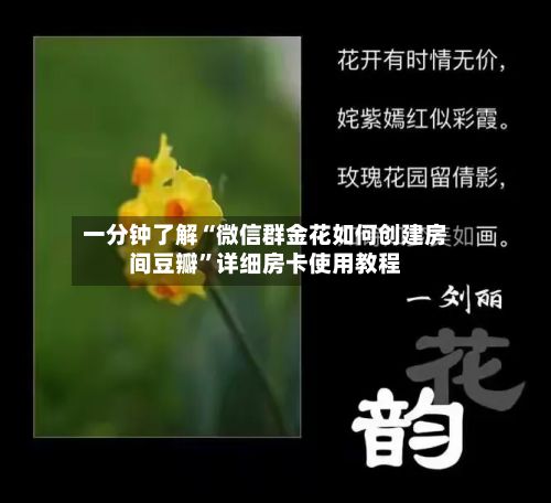 一分钟了解“微信群金花如何创建房间豆瓣”详细房卡使用教程