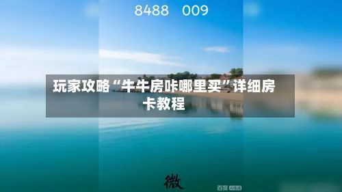 玩家攻略“牛牛房咔哪里买”详细房卡教程