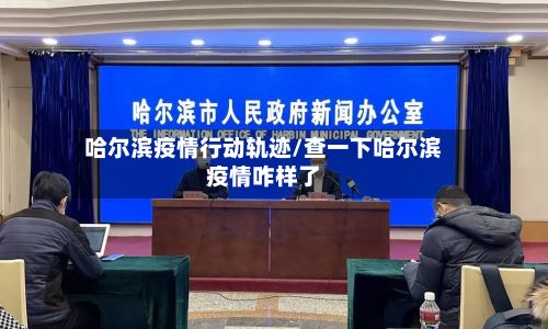 哈尔滨疫情行动轨迹/查一下哈尔滨疫情咋样了-第2张图片