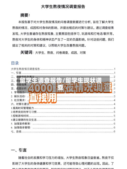 留学生调查报告/留学生现状调查
