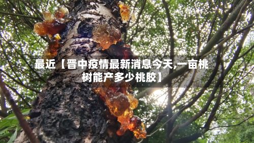最近【晋中疫情最新消息今天,一亩桃树能产多少桃胶】-第2张图片