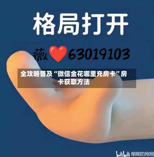 全攻略普及“微信金花哪里充房卡”房卡获取方法-第2张图片