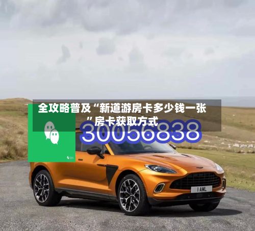 全攻略普及“新道游房卡多少钱一张”房卡获取方式-第2张图片
