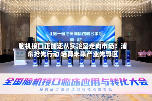 脑机接口正加速从实验室走向市场!浦东抢先行动 培育未来产业先导区