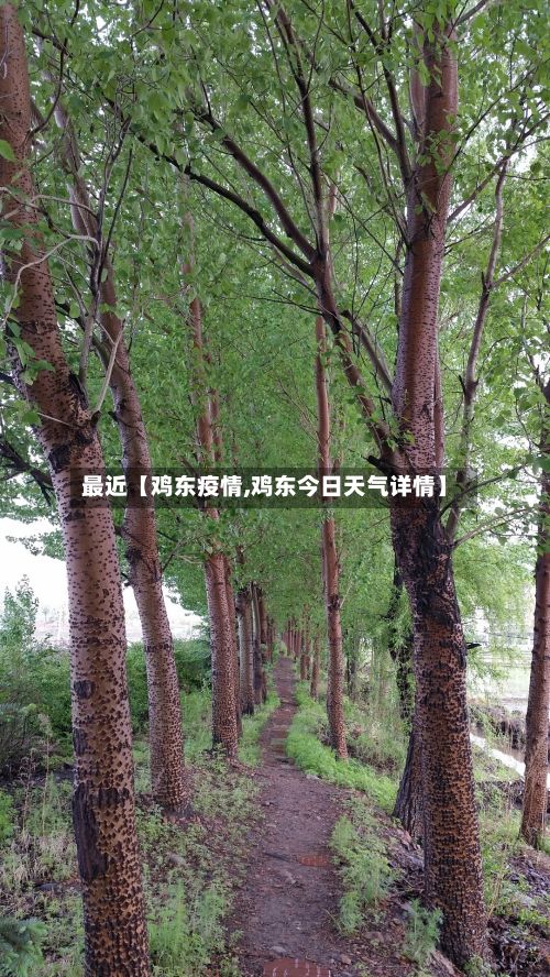 最近【鸡东疫情,鸡东今日天气详情】-第3张图片
