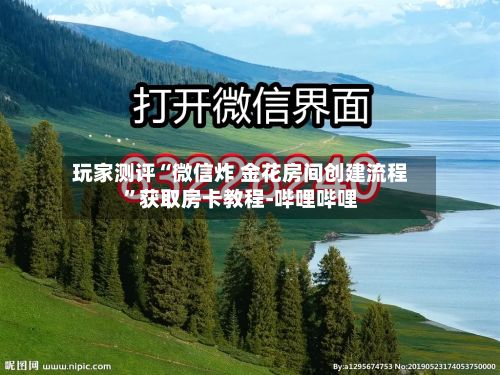 玩家测评“微信炸 金花房间创建流程”获取房卡教程-哔哩哔哩