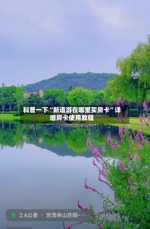 科普一下“新道游在哪里买房卡”详细房卡使用教程-第2张图片